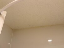 Ceiling in the bath area