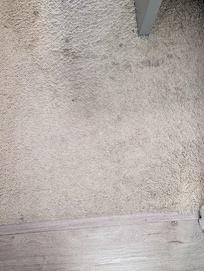 Some of the carpet stains