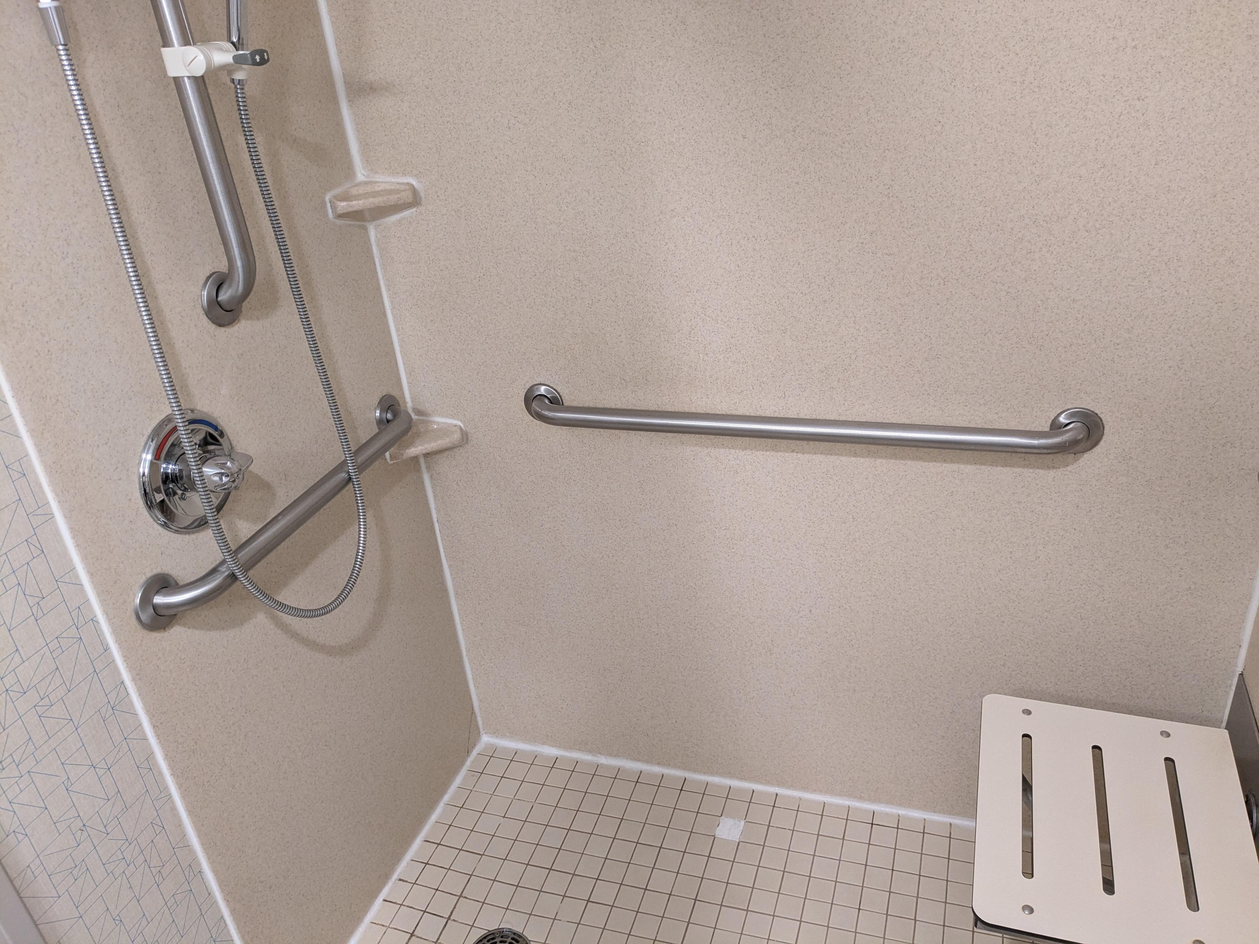Handicap-friendly (?) shower.