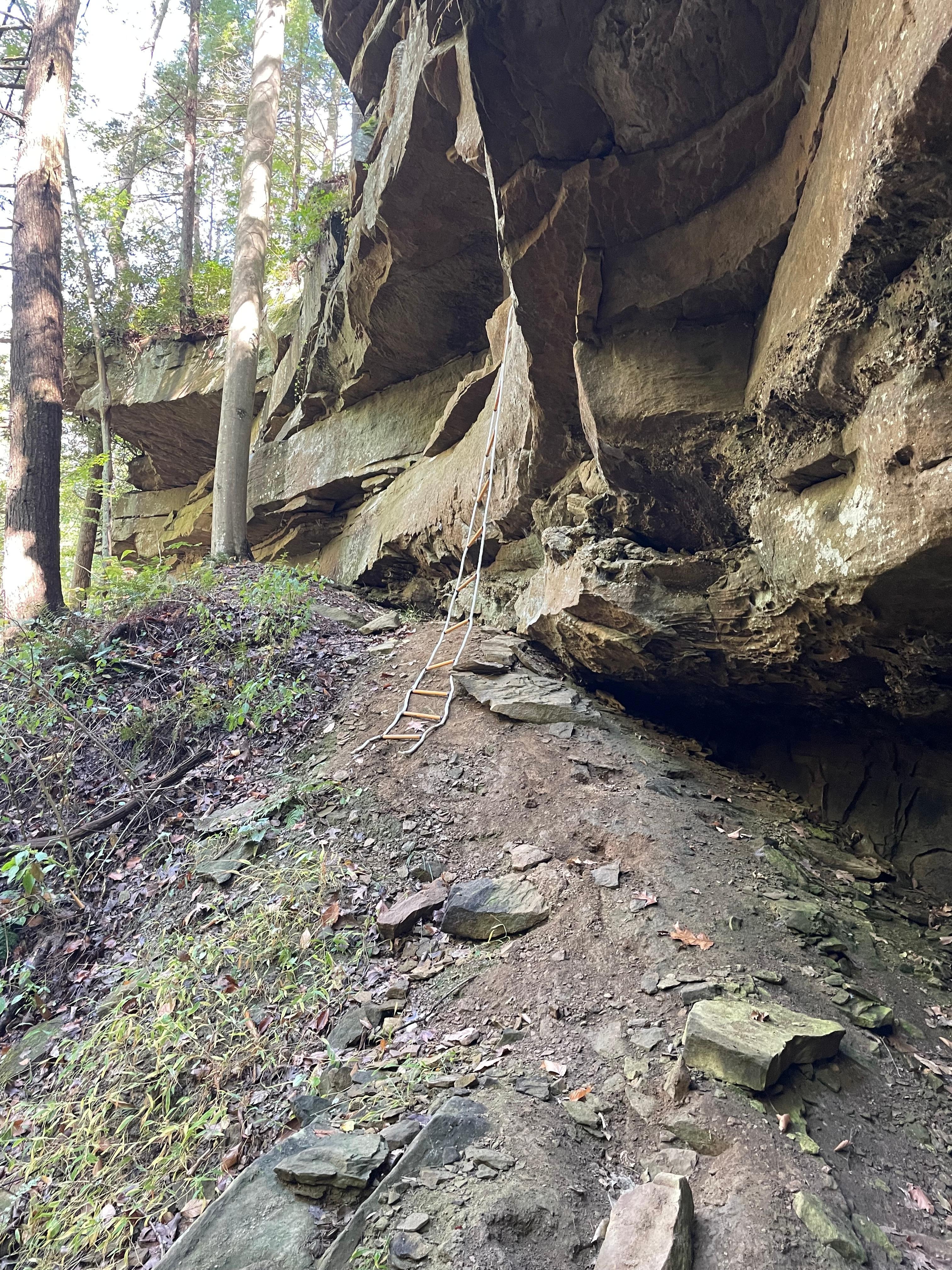 Waterfall area on the property 