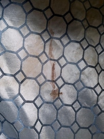 This was the stain on the bed cover