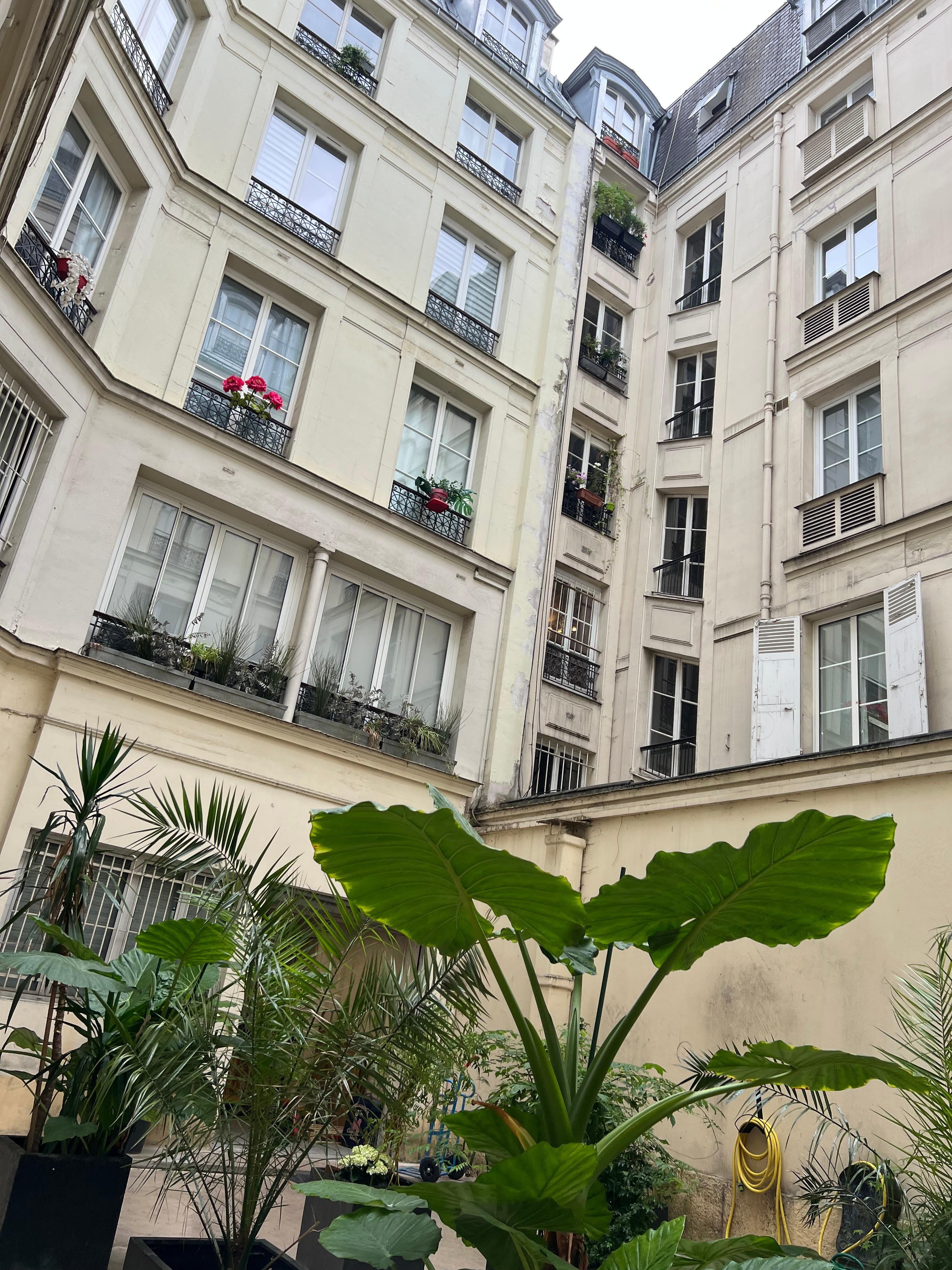 After secure street entrance, view of the courtyard. 