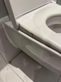 Brown substance on the toilet