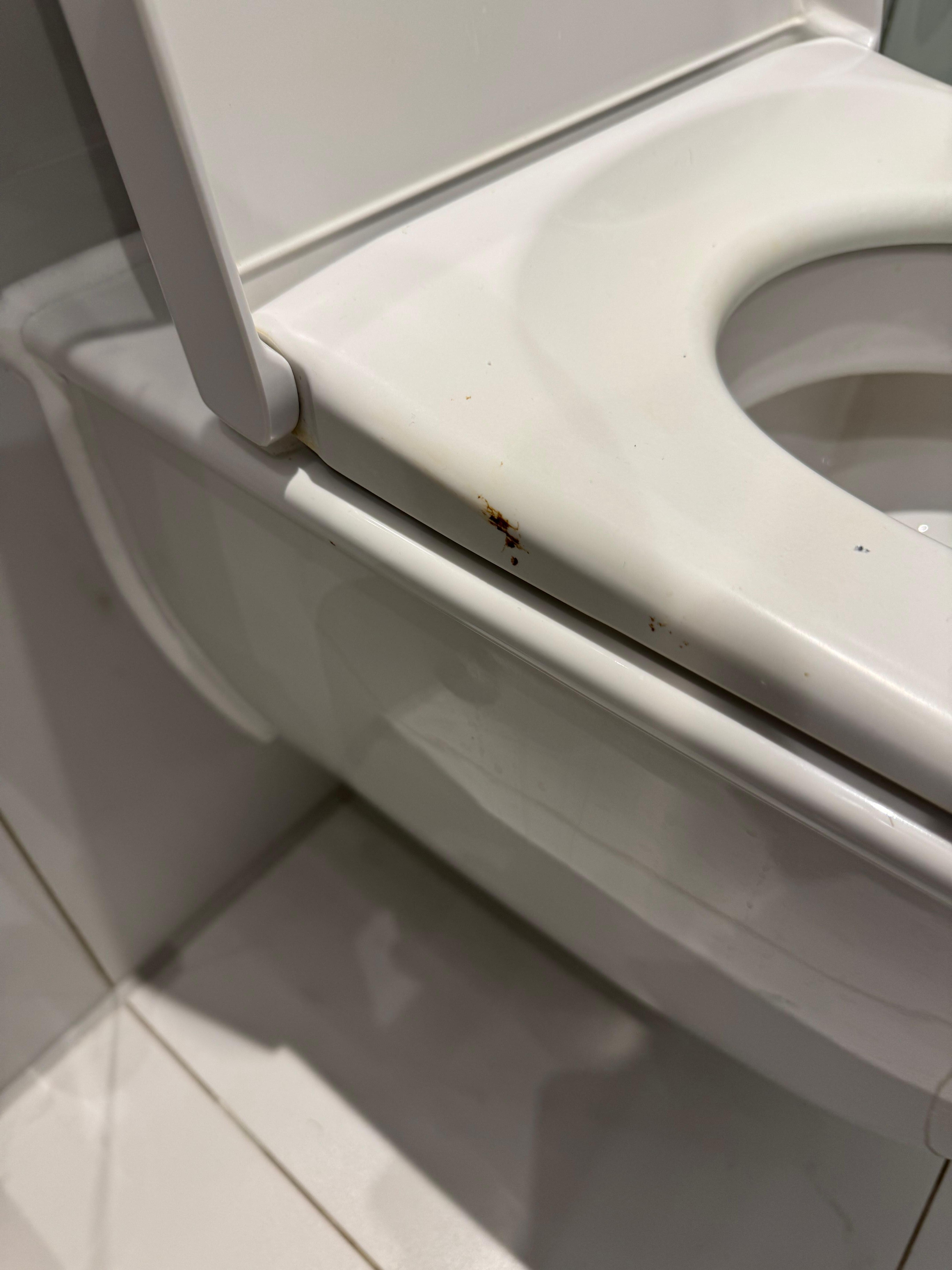 Brown substance on the toilet
