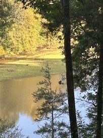 River from Deck