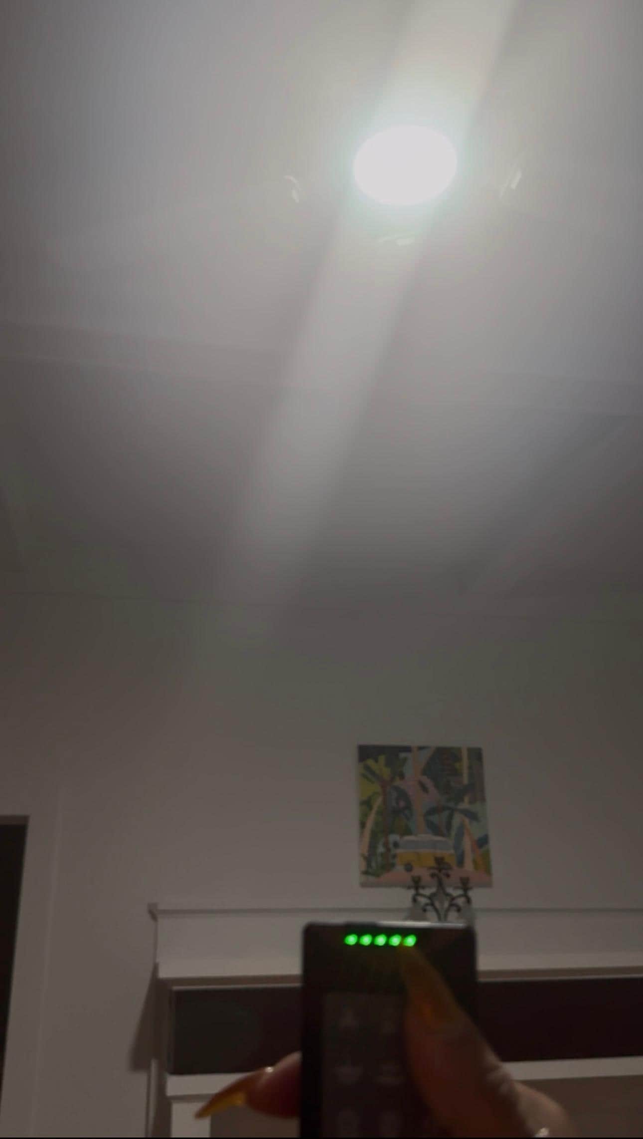 Ceiling fan light works but not the fan 