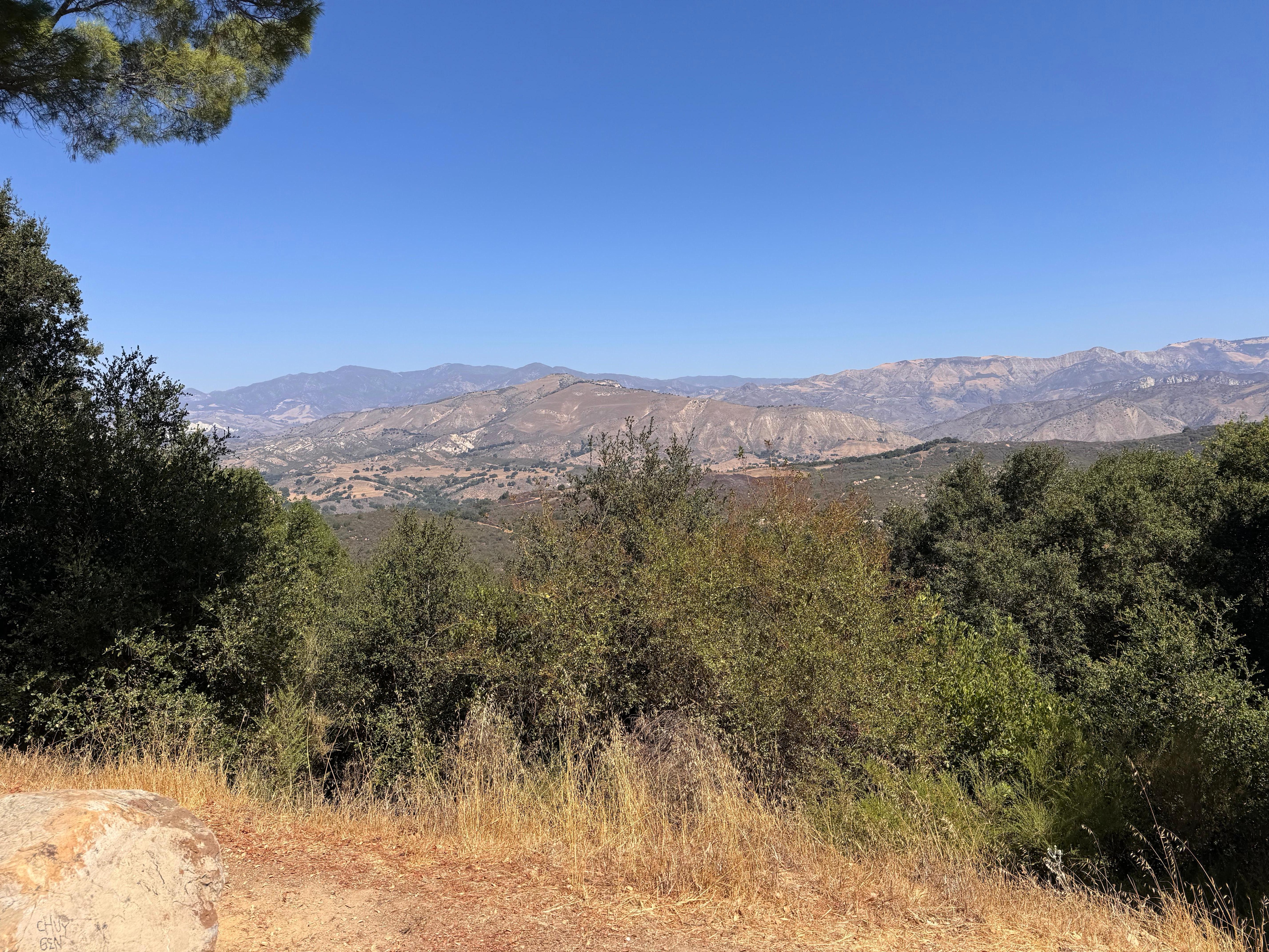 Another view from the back deck.