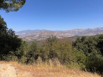 Another view from the back deck.