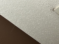 Spider webs in bathroom