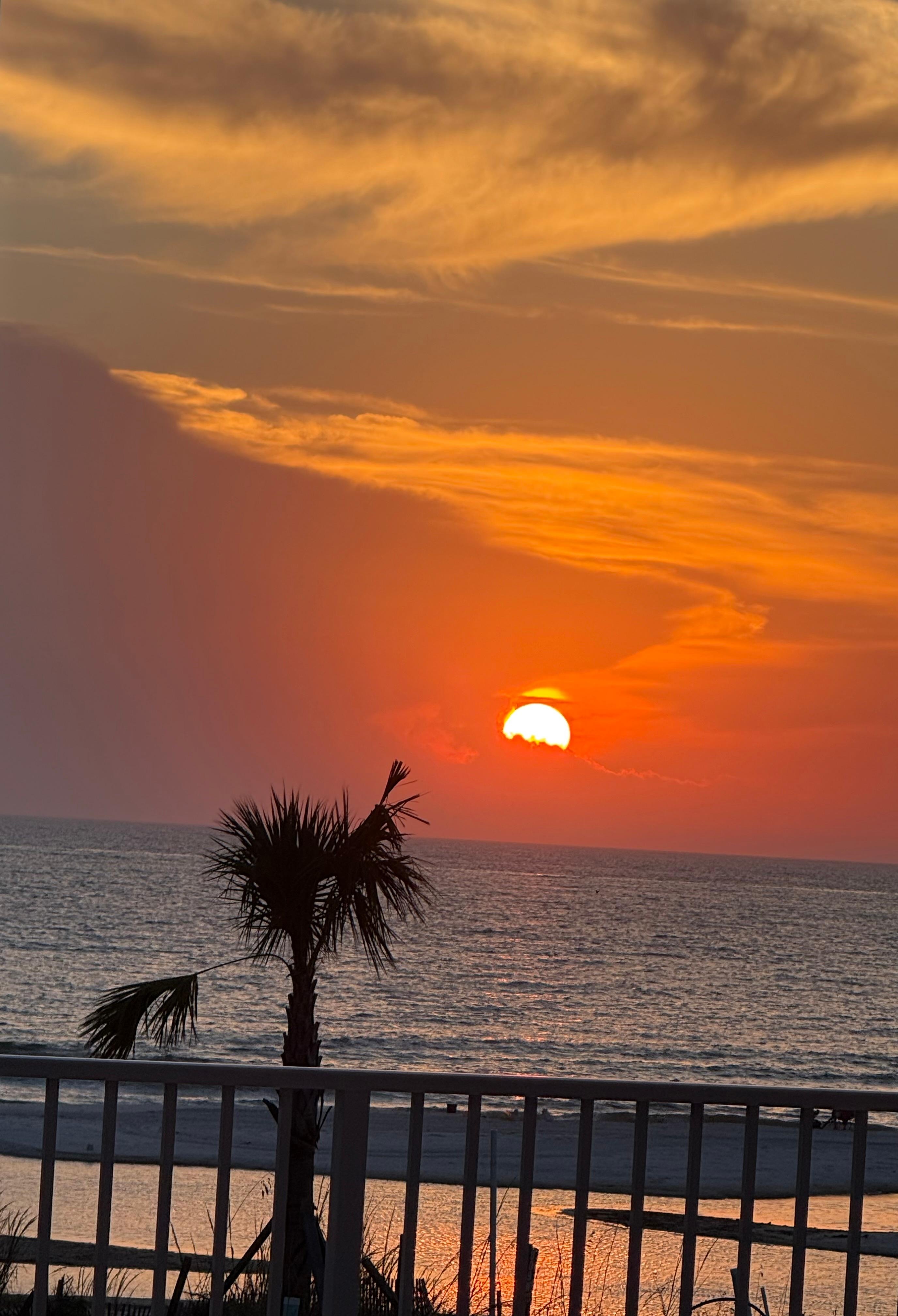 Our gorgeous view from the pool ❤️