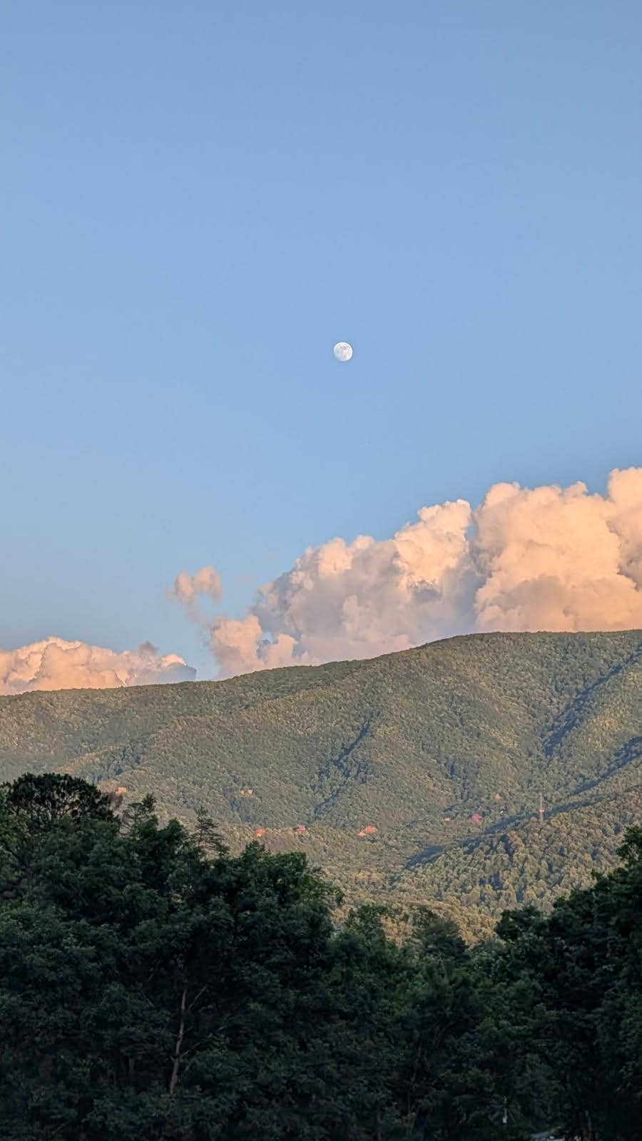 An evening view from the front porch.  
