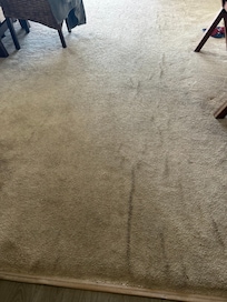 Carpet in living room