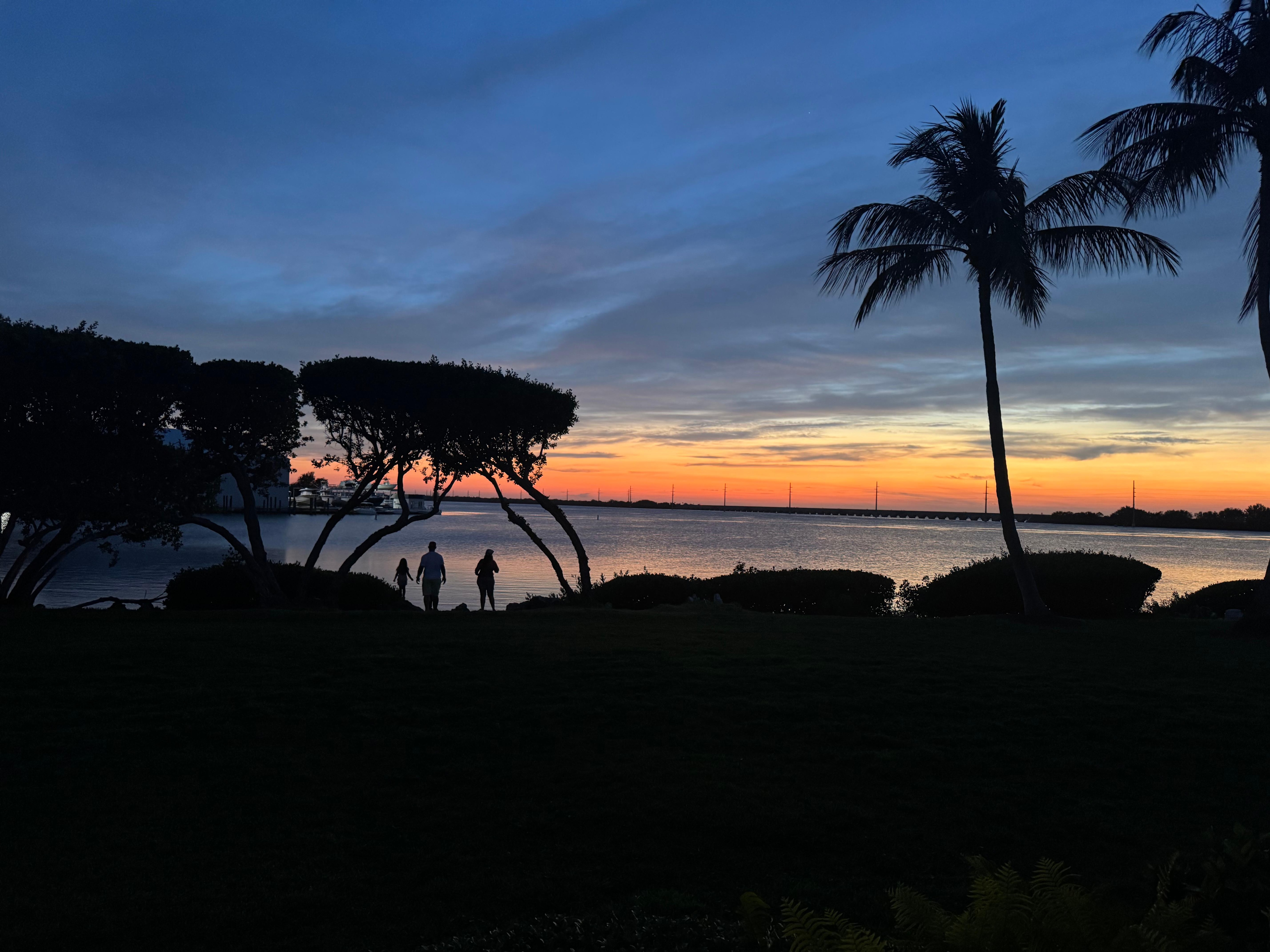 View to fall asleep to 