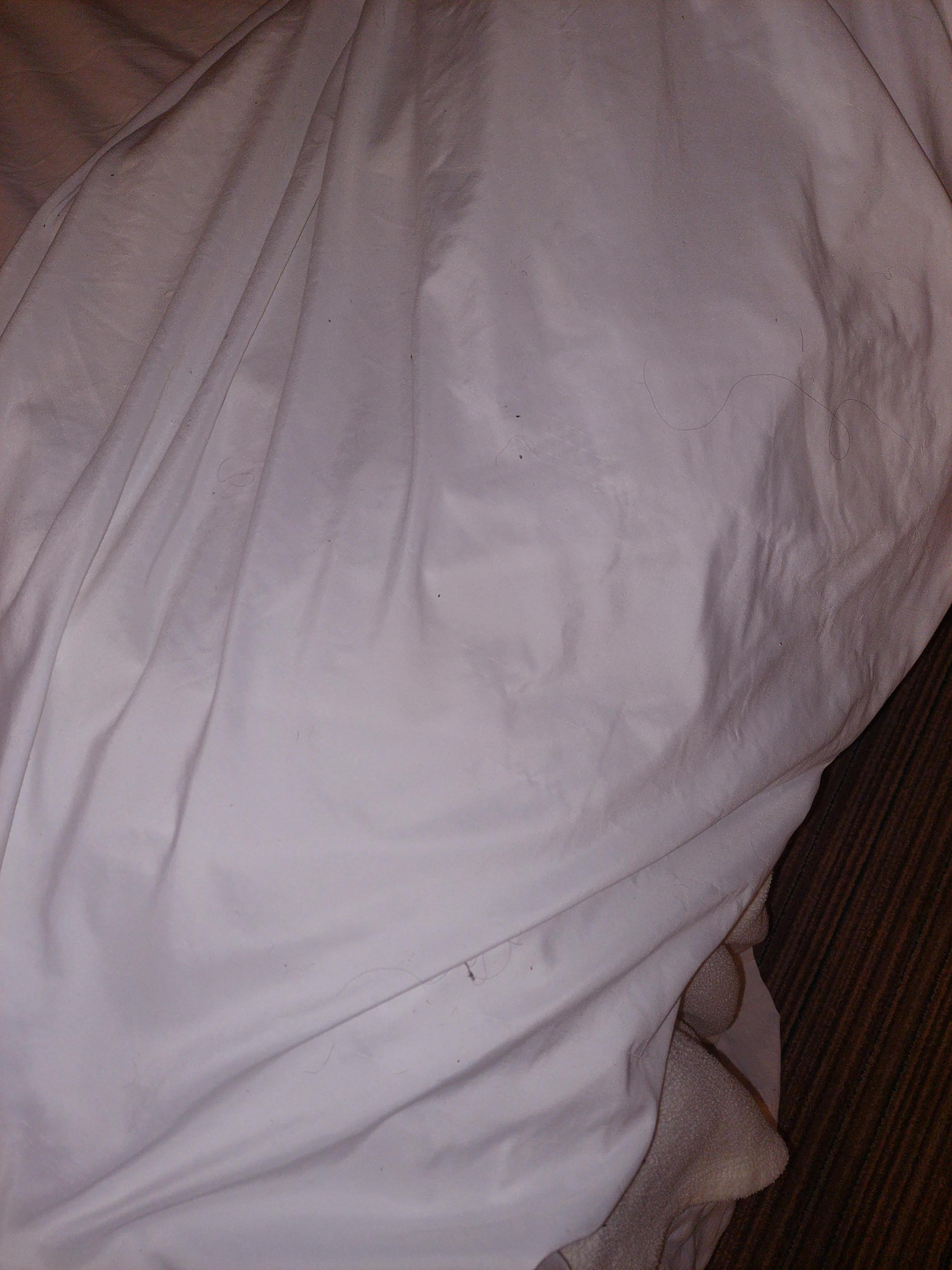Sheet touched the carpet and picked up all that dirty and hair. Carpets not cleaned in a loooong time. 