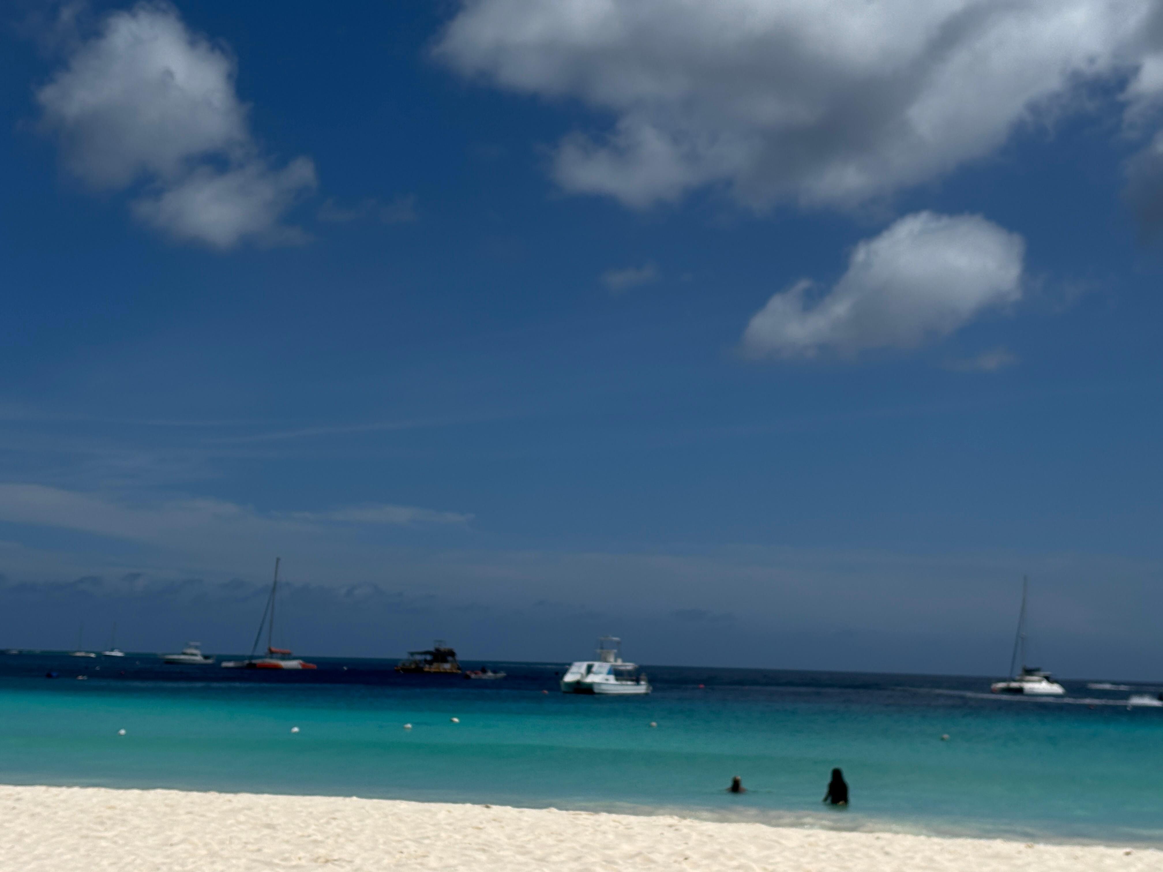 Carlisle bay