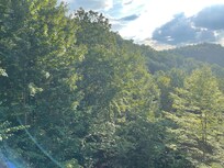 Off the back deck