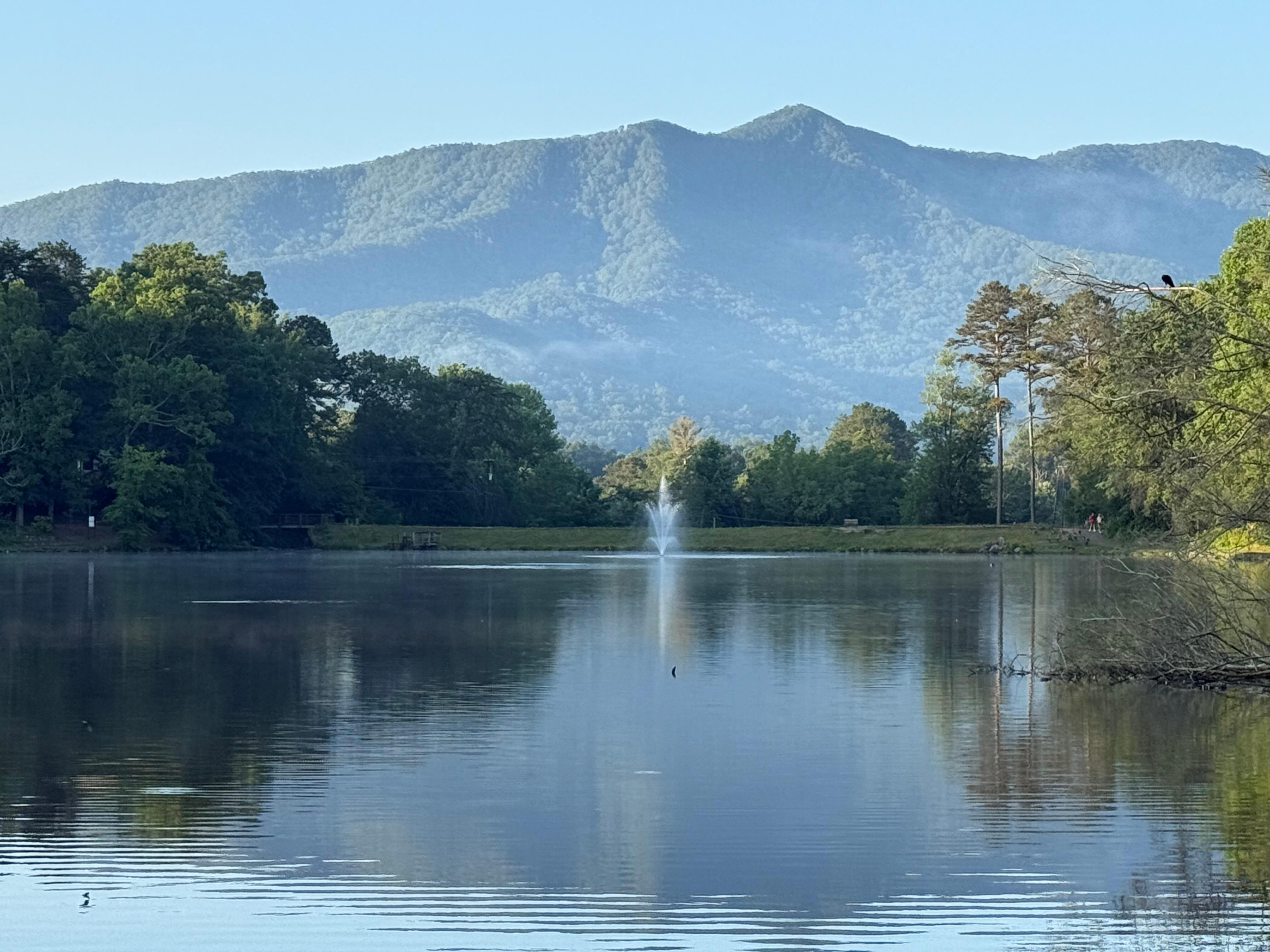 View from the park trail