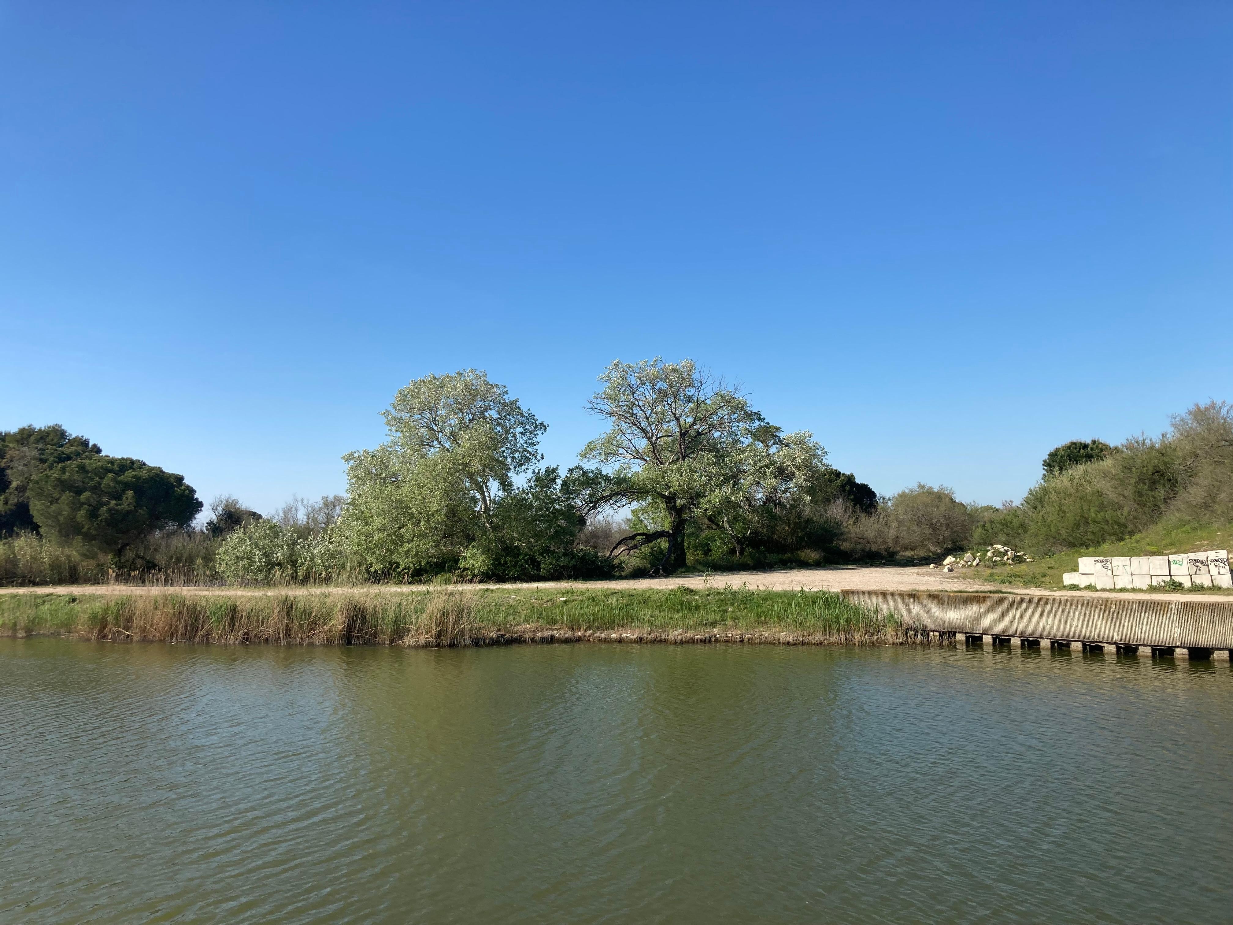 Photo de la Camargue 