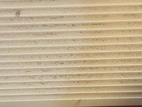 Dust all over the cooler fan