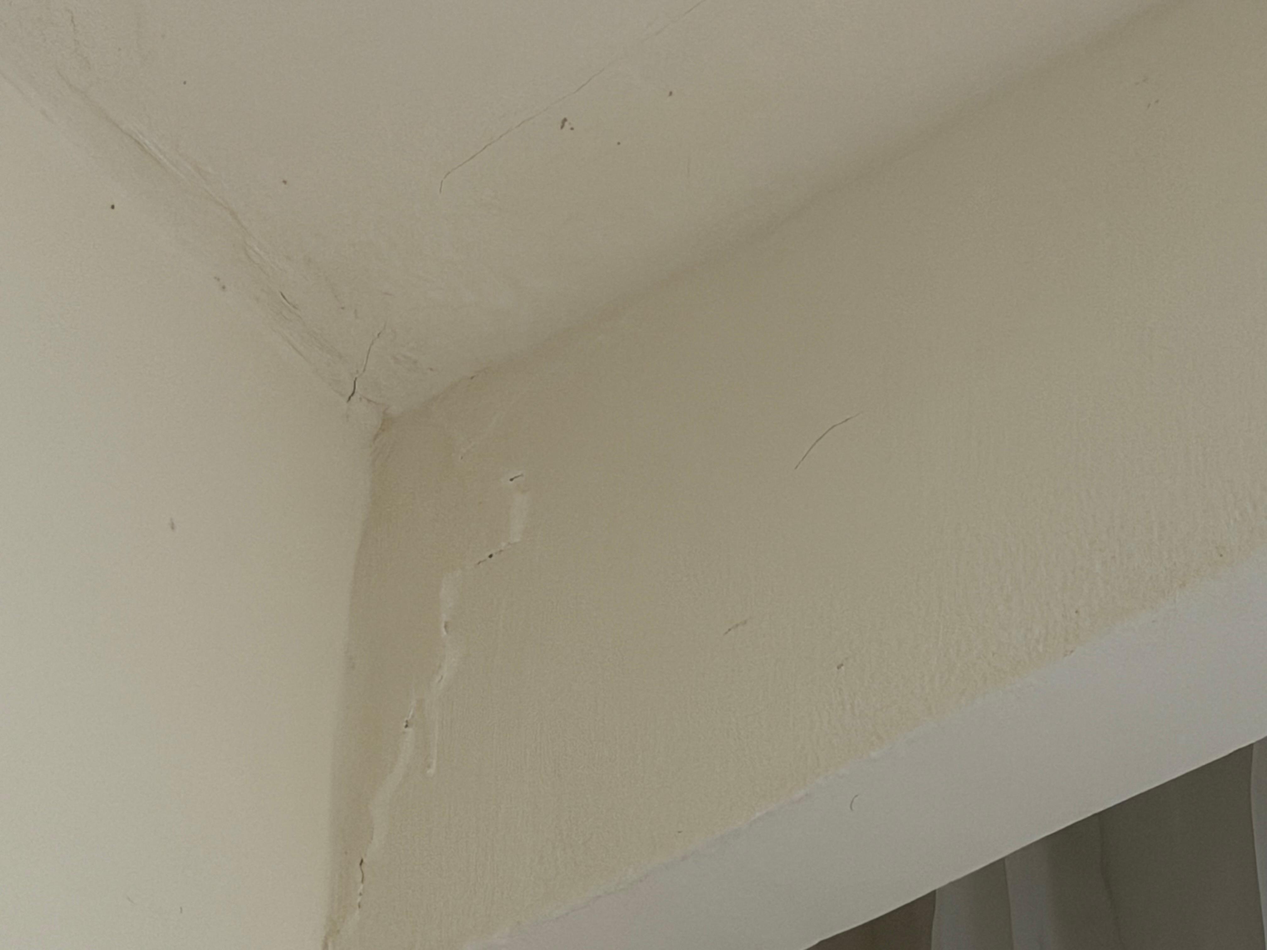 The bubble up wall from leakage causing the mold