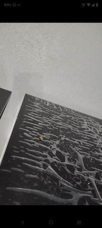 Roaches in the kitchen