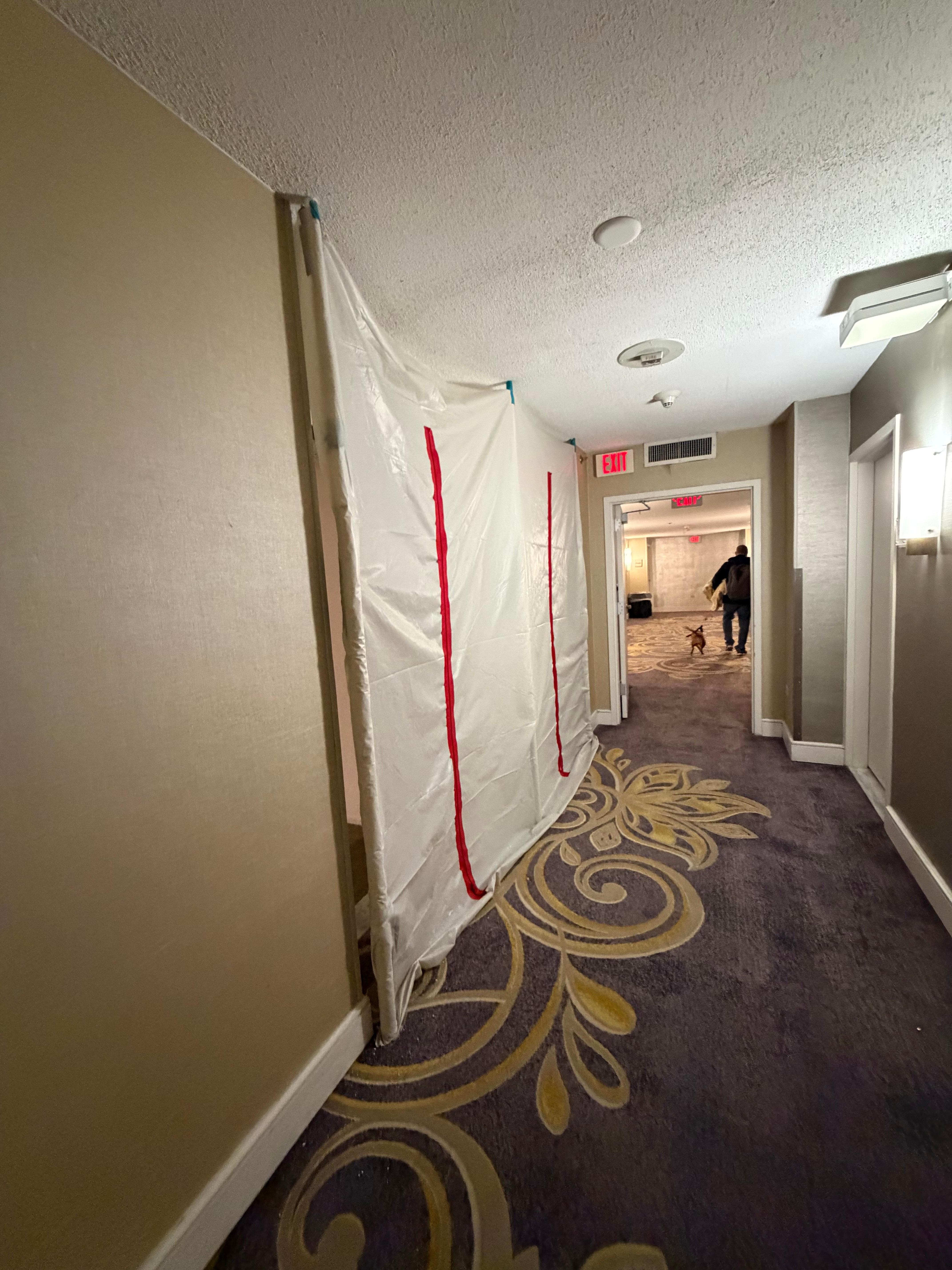 Rooms covered in plastic