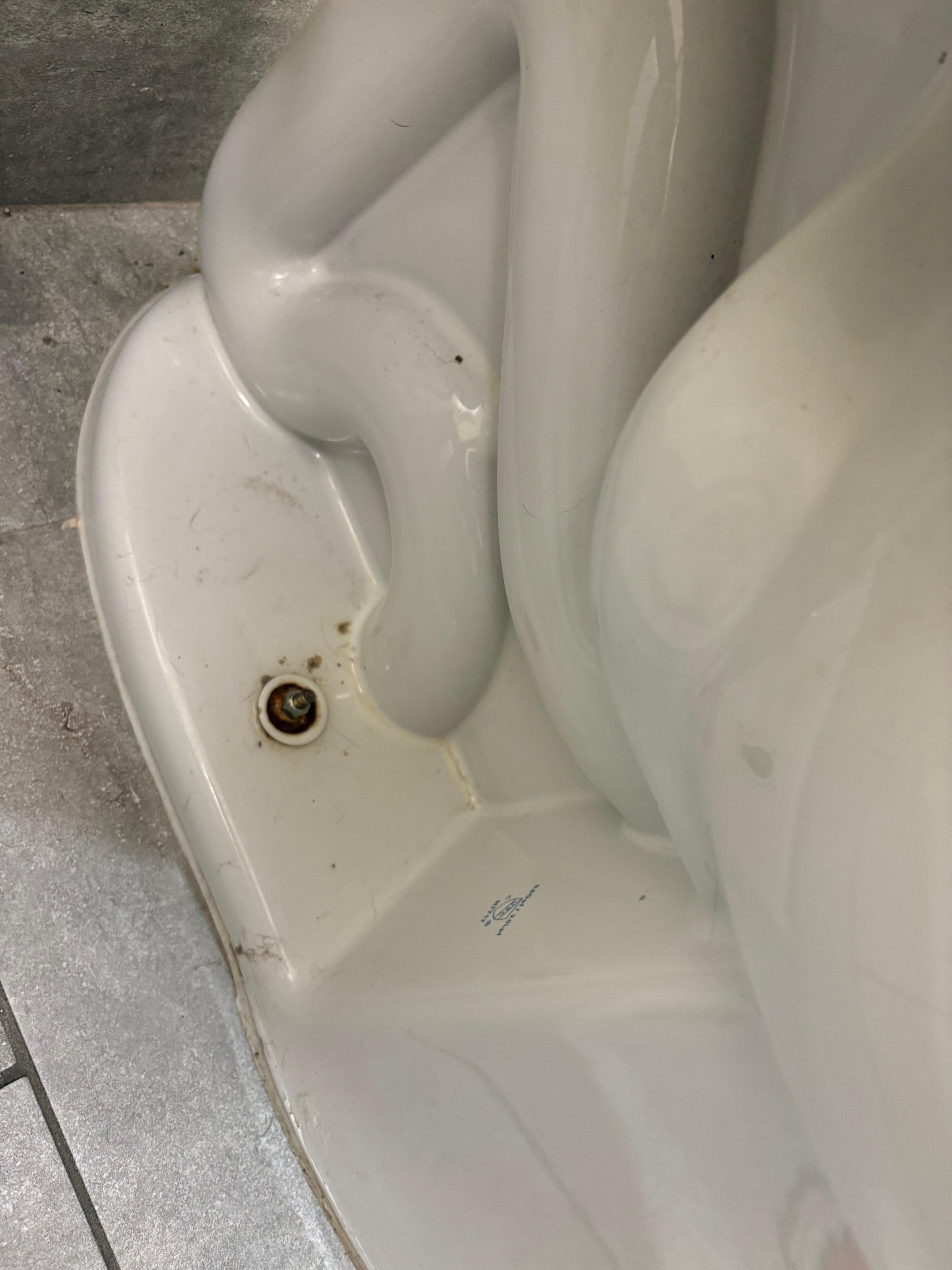 Other side of nasty toilet that had old urine in it when we arrived 