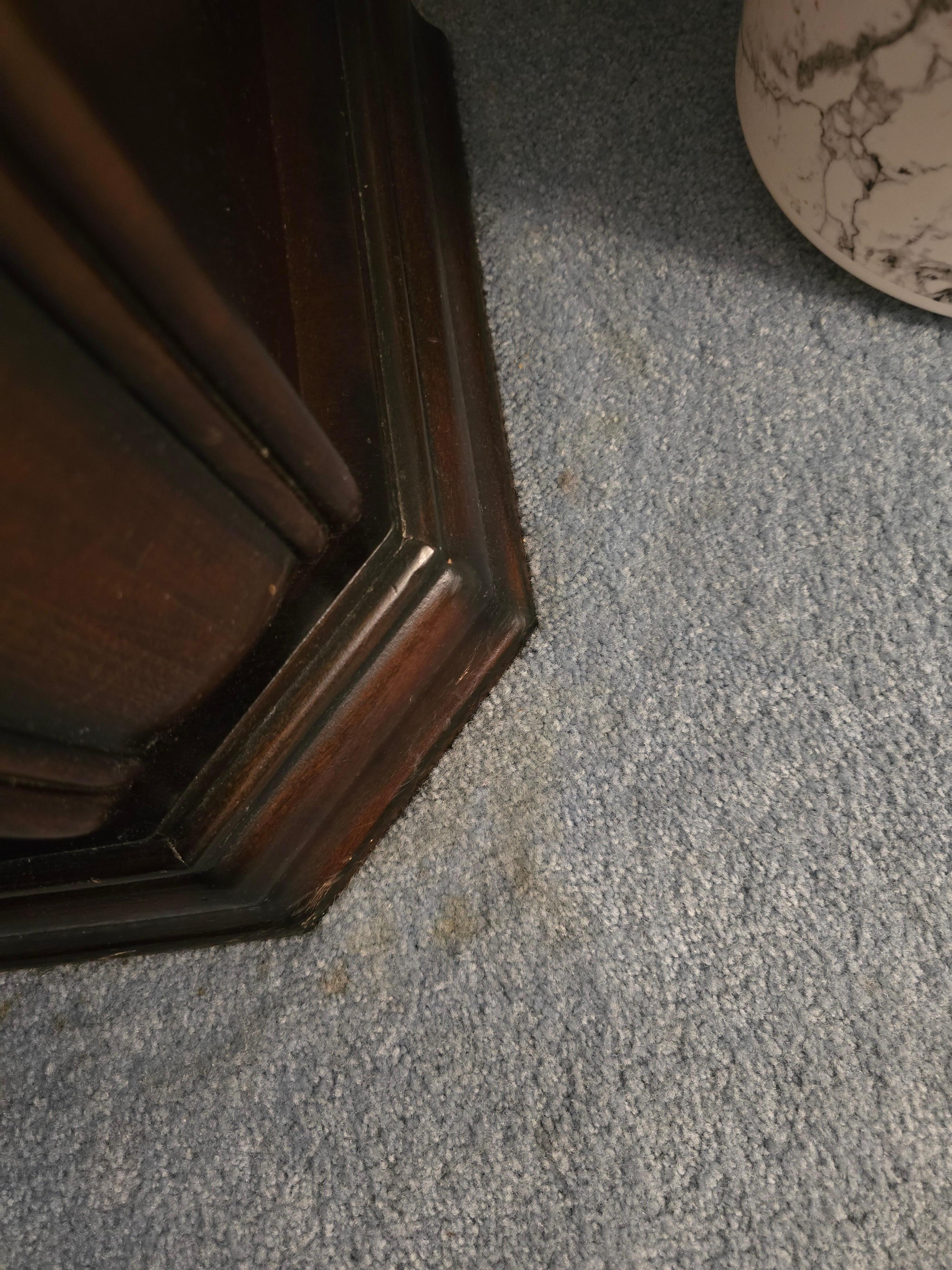 Pet stains 