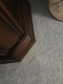 Pet stains