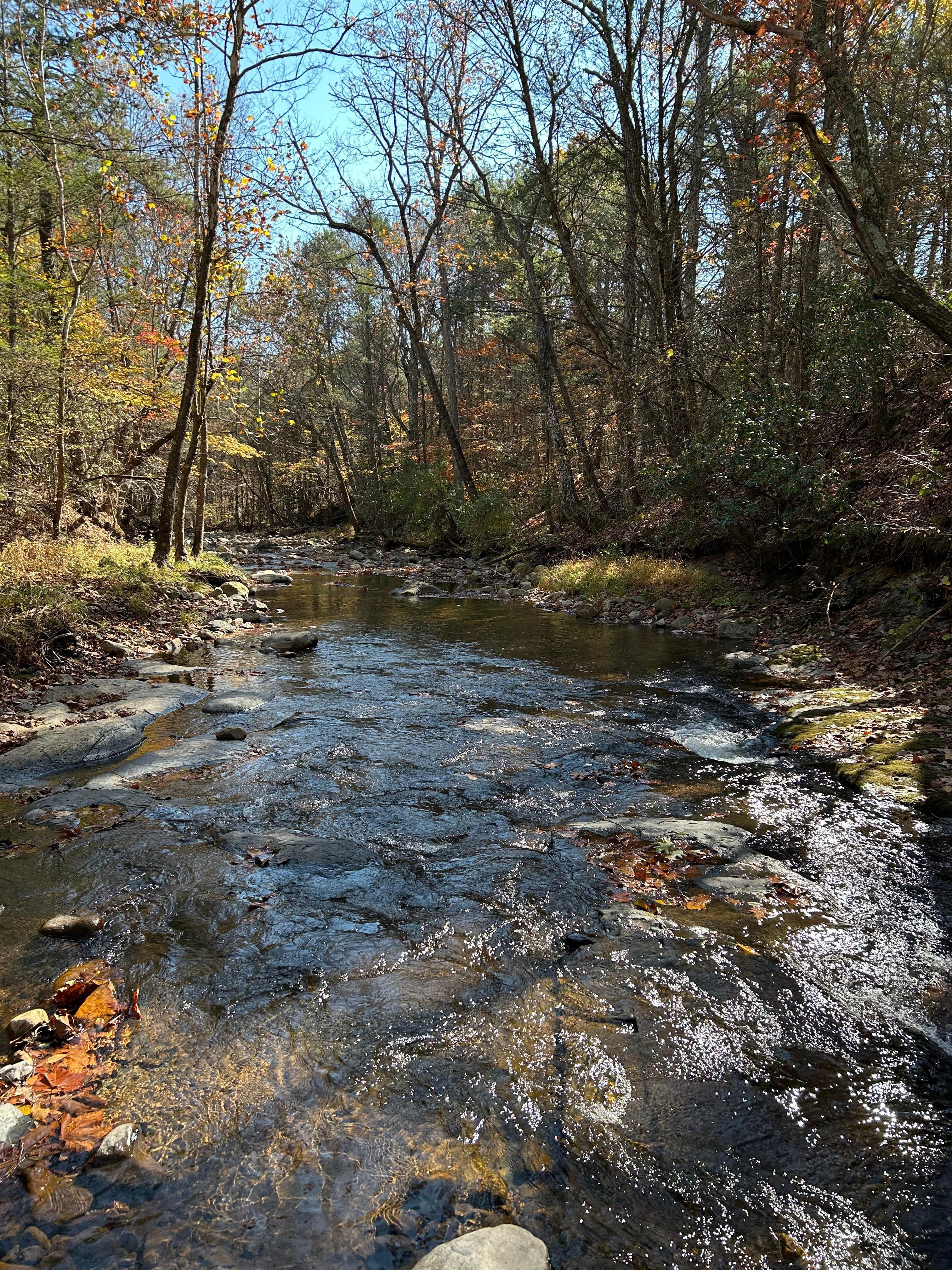 The stream right outside the cabin