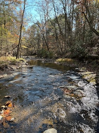 The stream right outside the cabin