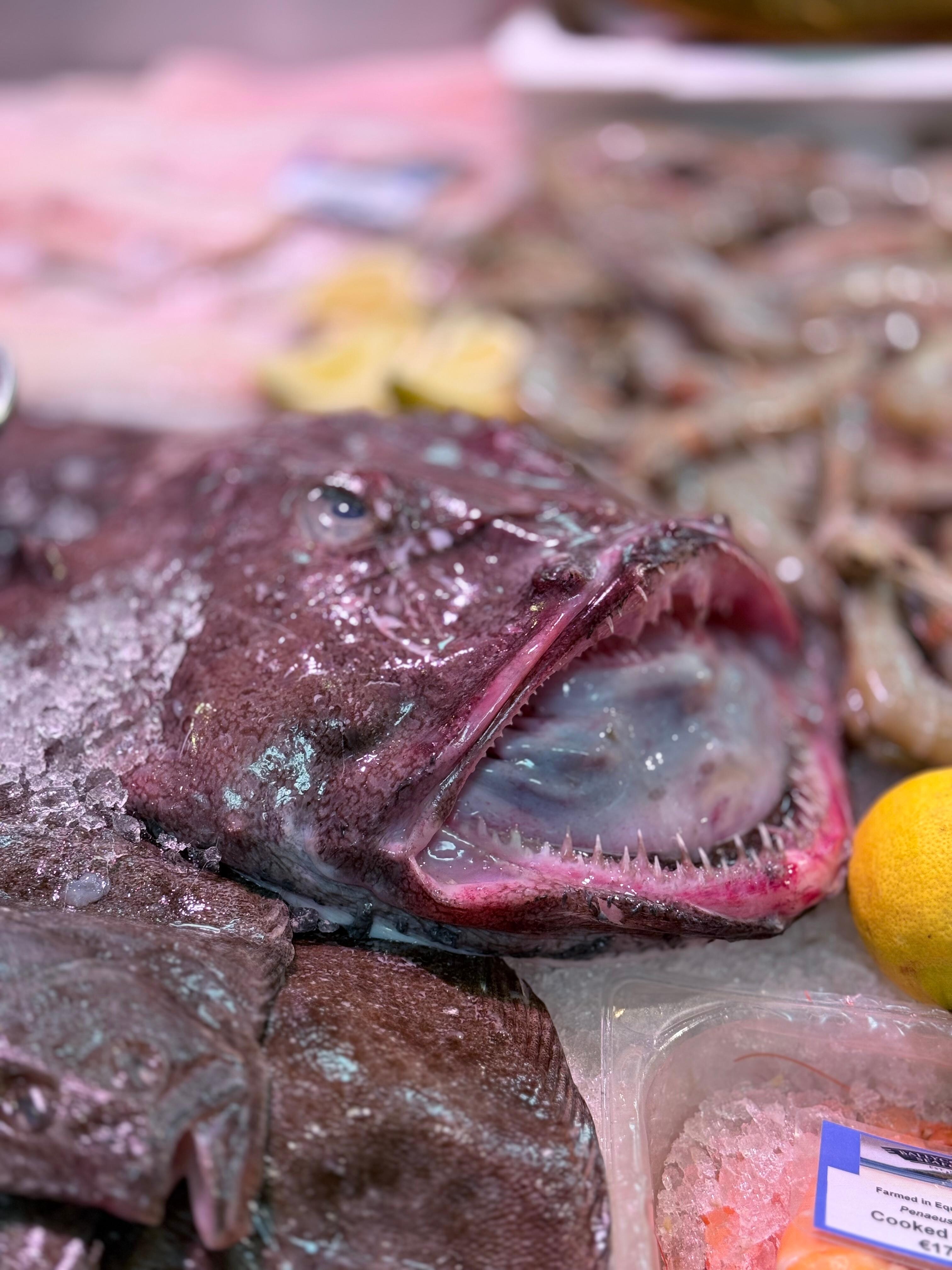Monkfish at English Market