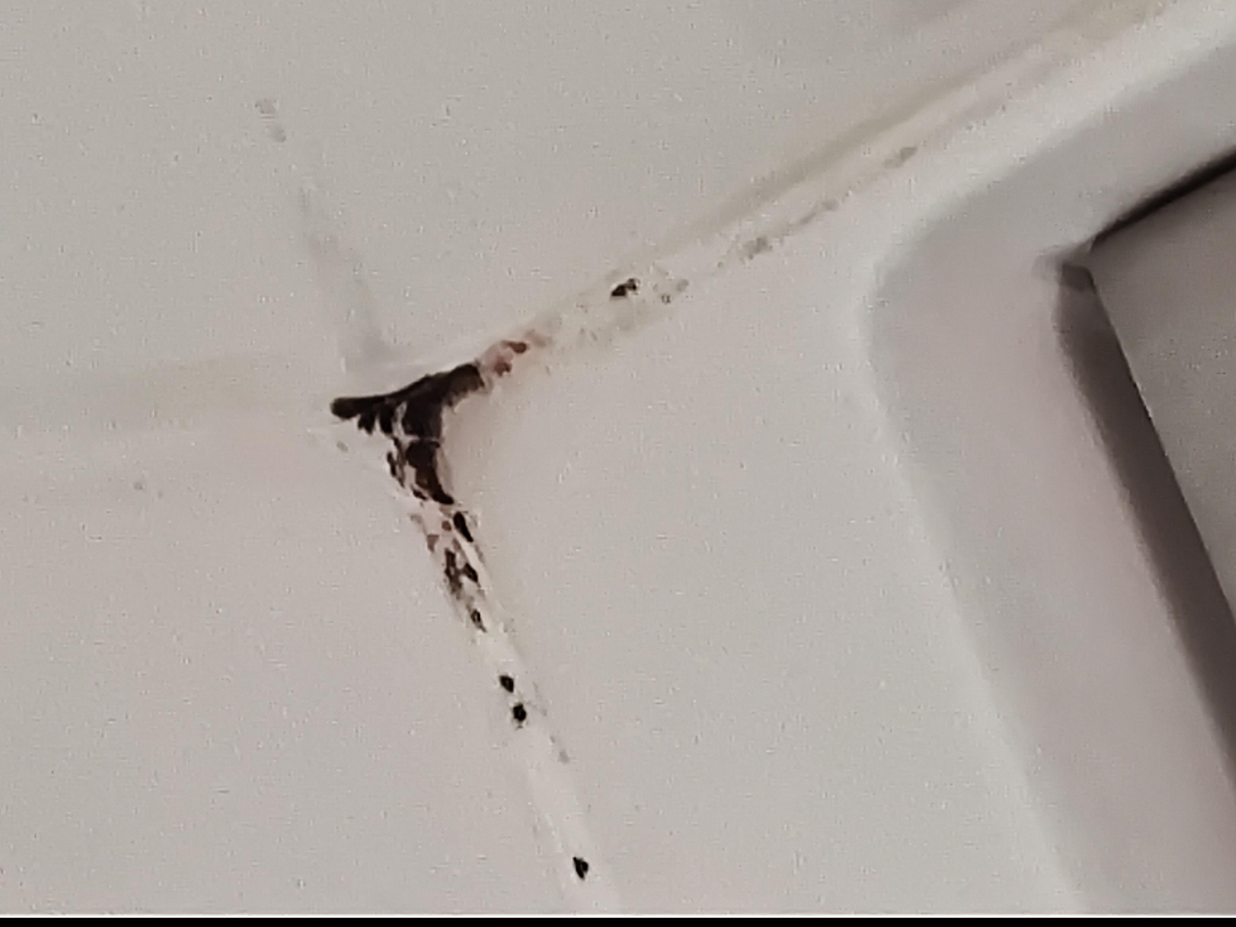 Mold in corner of tub, room 202