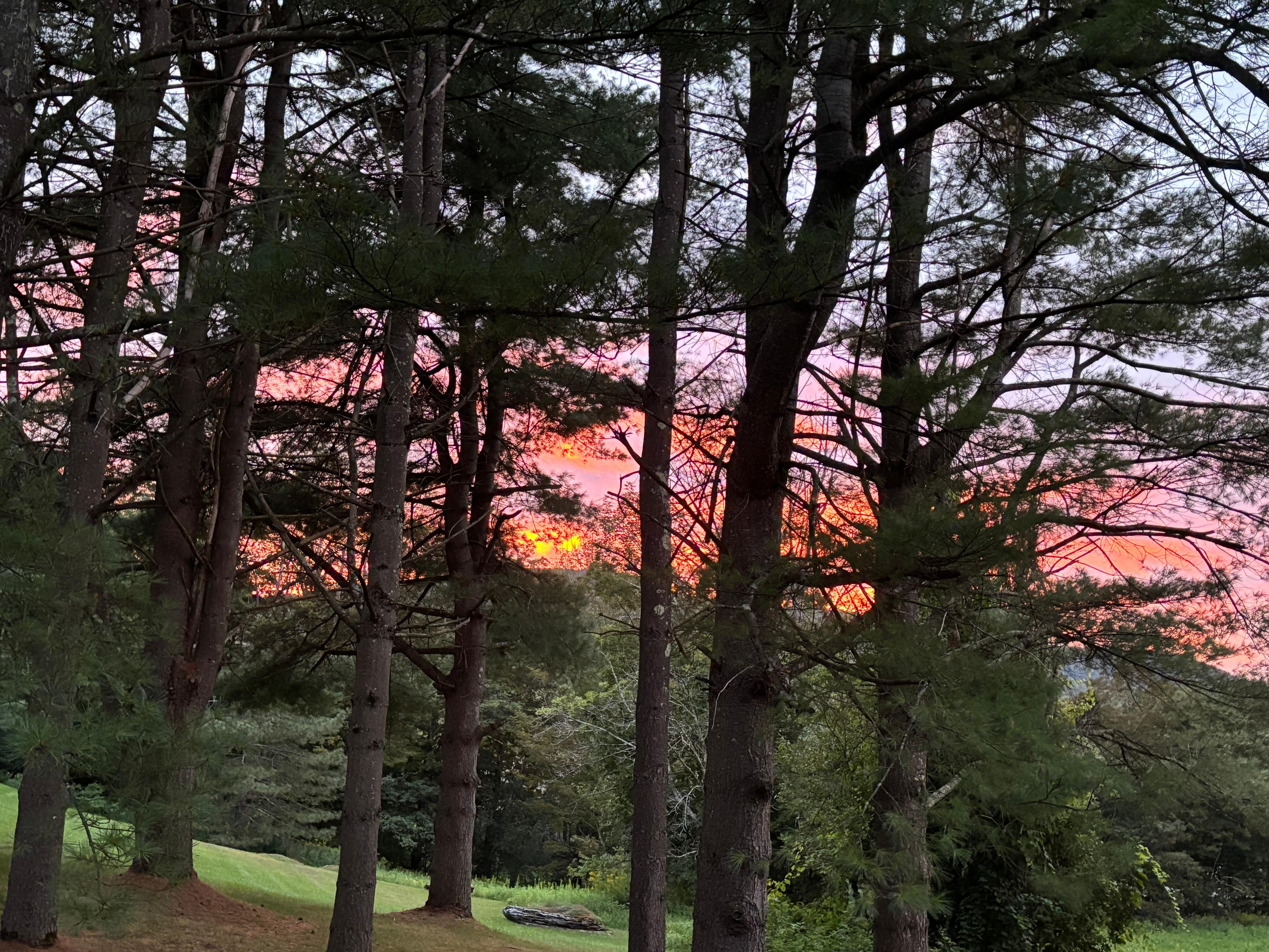 Back deck in evening