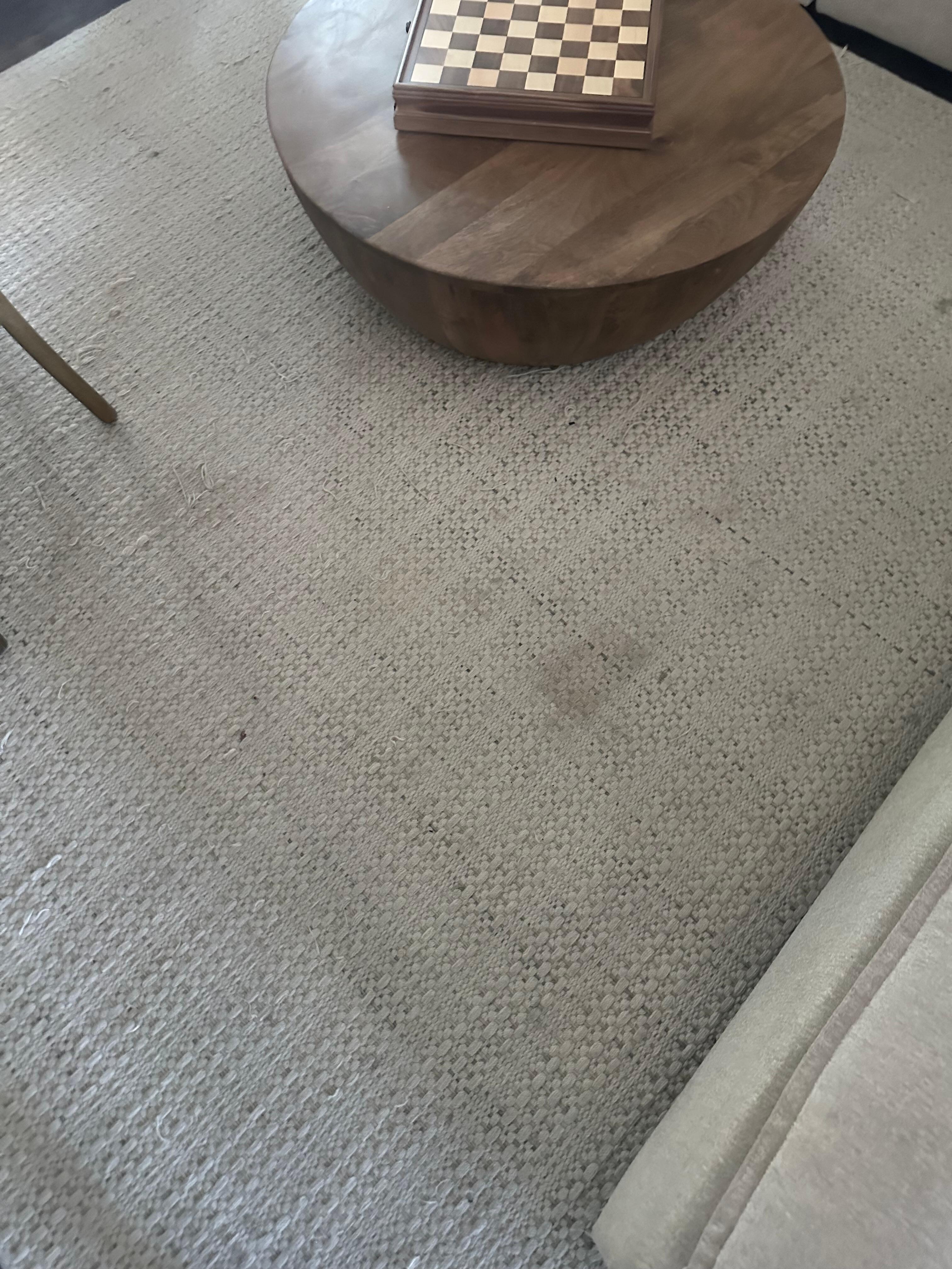 Living room area rug full of stains, and so are all of the other rugs and carpets in the house.