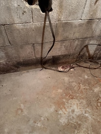 Mold in basement