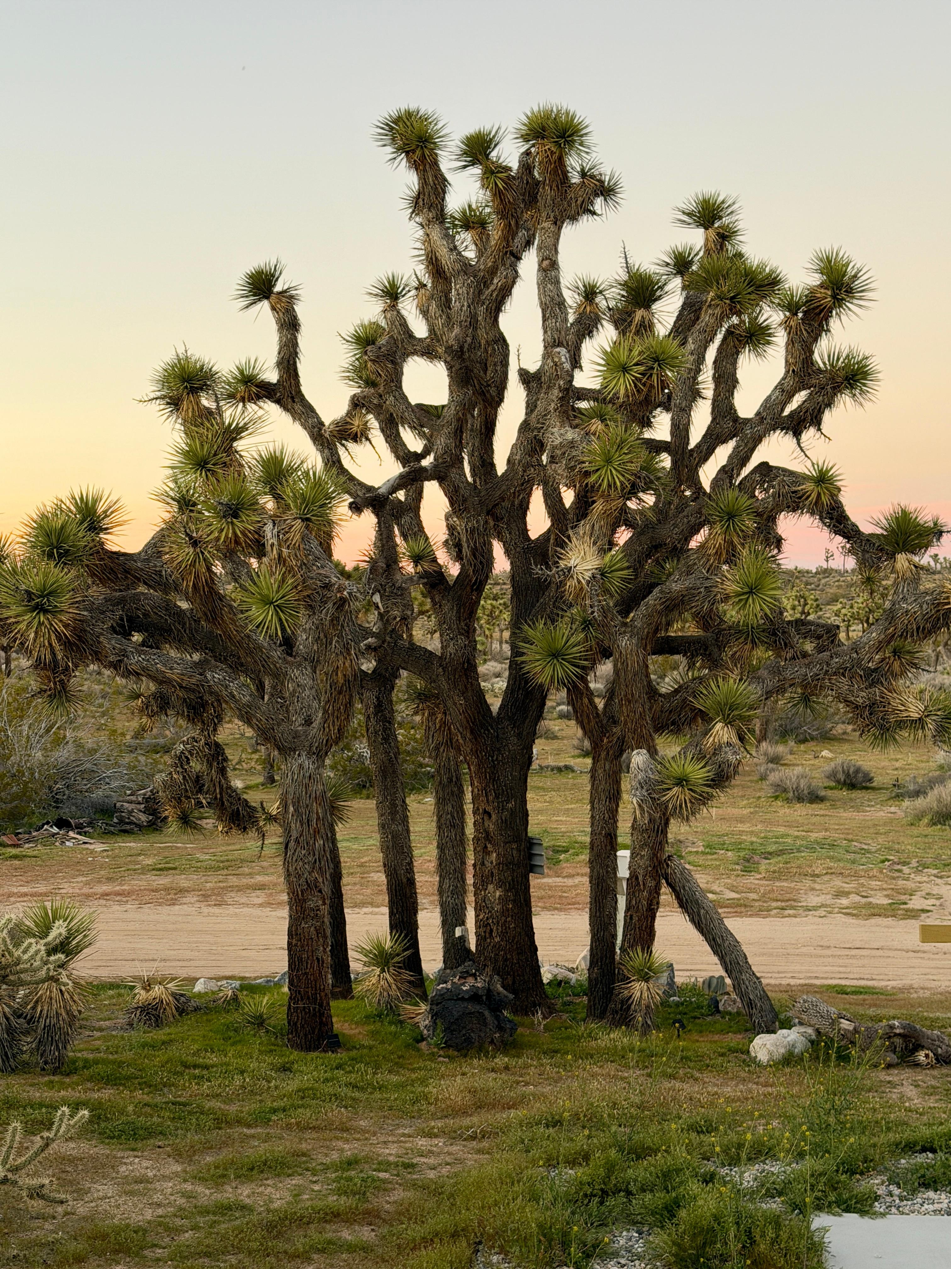 View from the front door. 