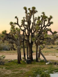 View from the front door.