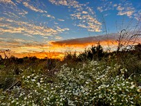 Sunset view.