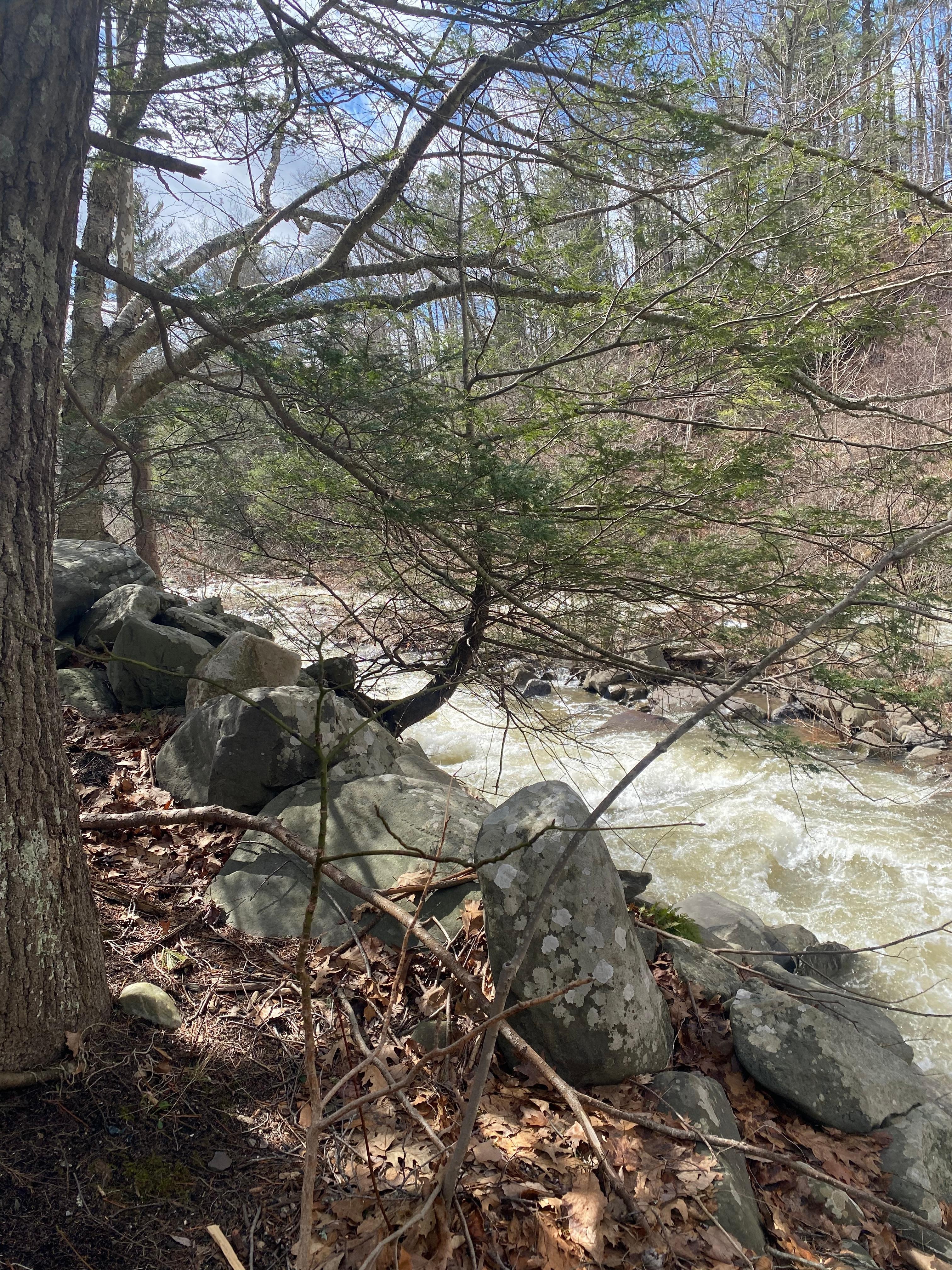 stream