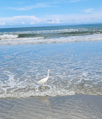 Photo op at beach