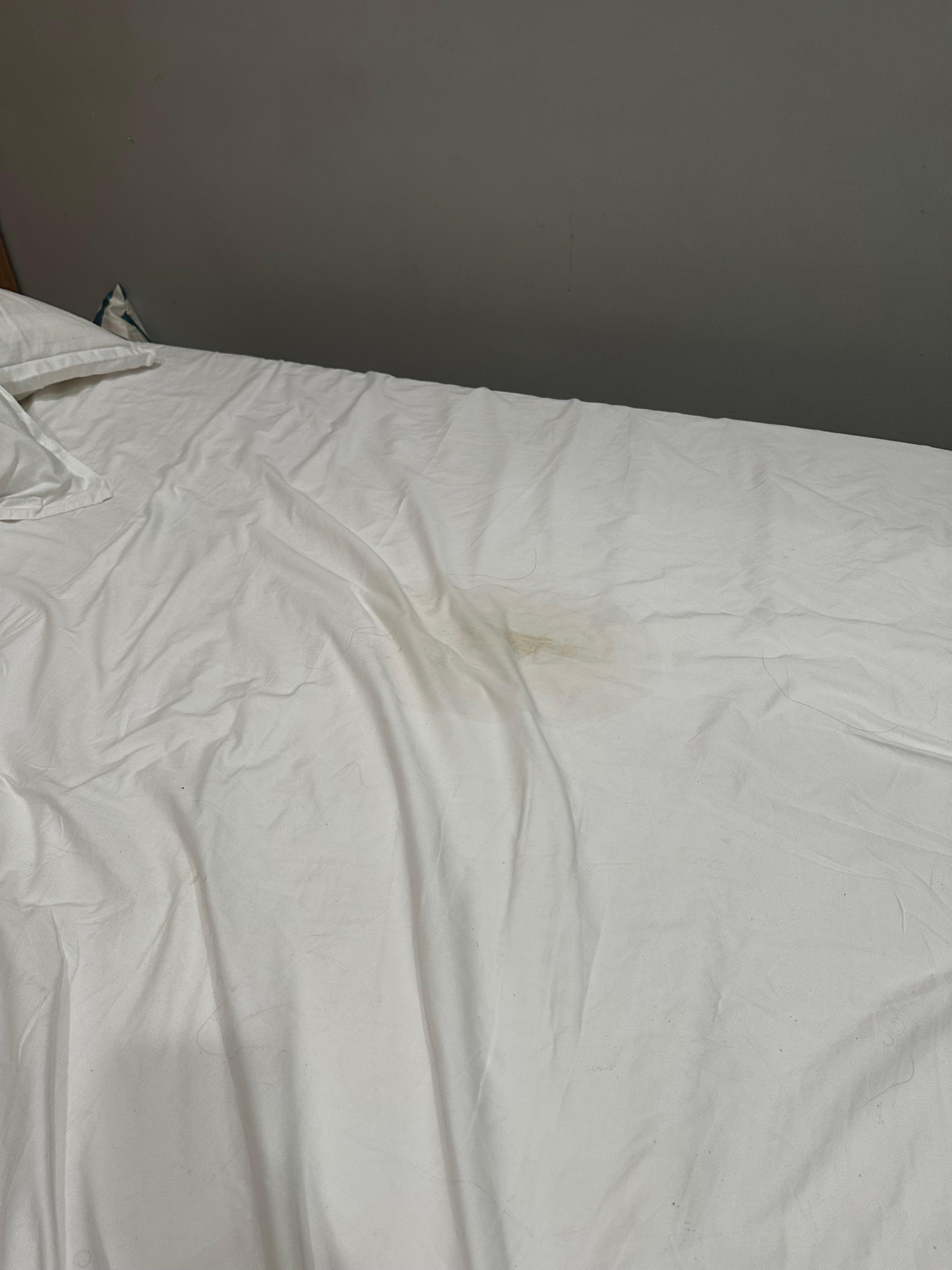 Stains on the bed