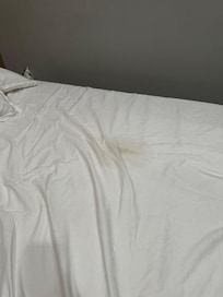 Stains on the bed