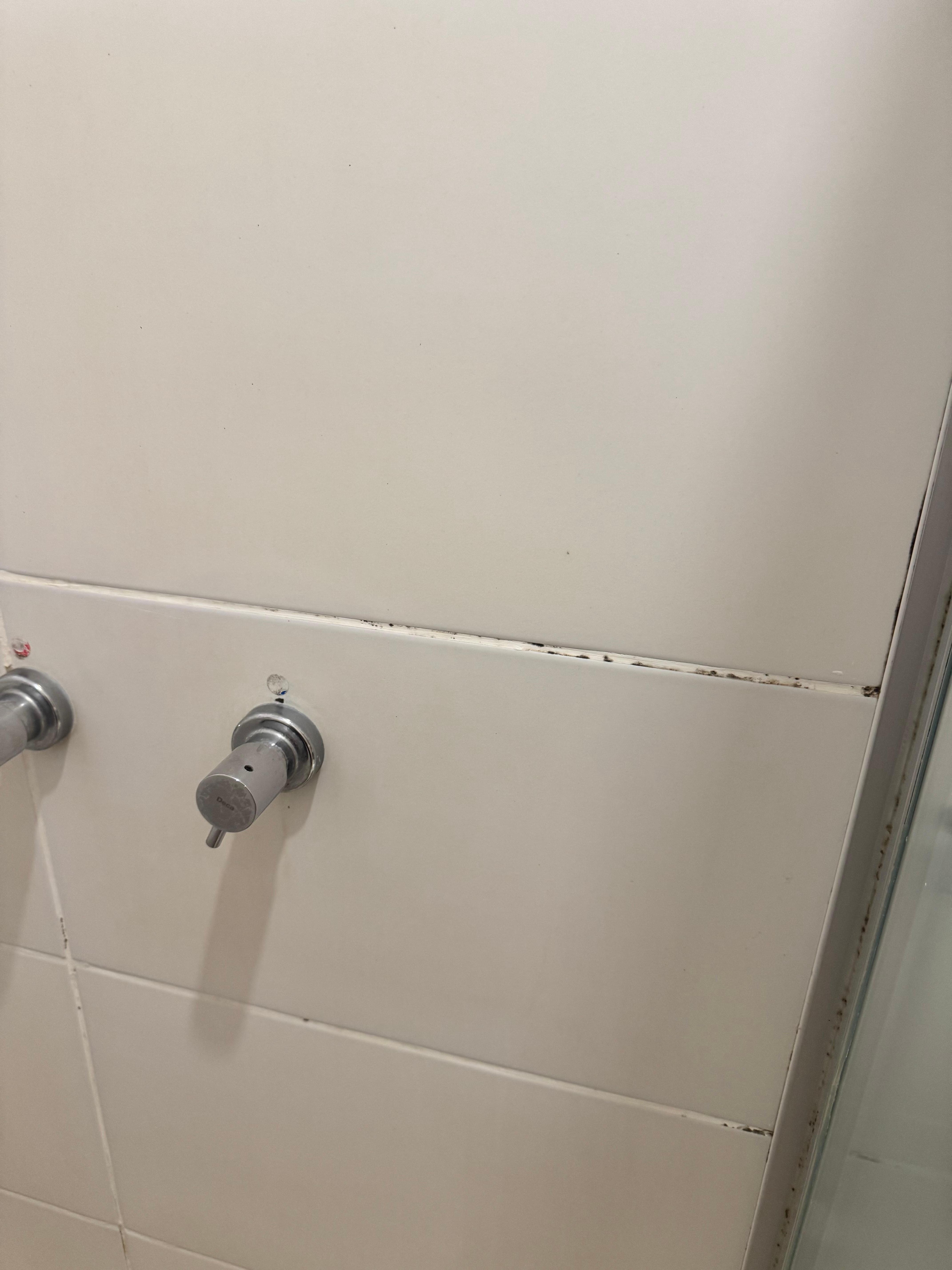 Parede do banheiro
