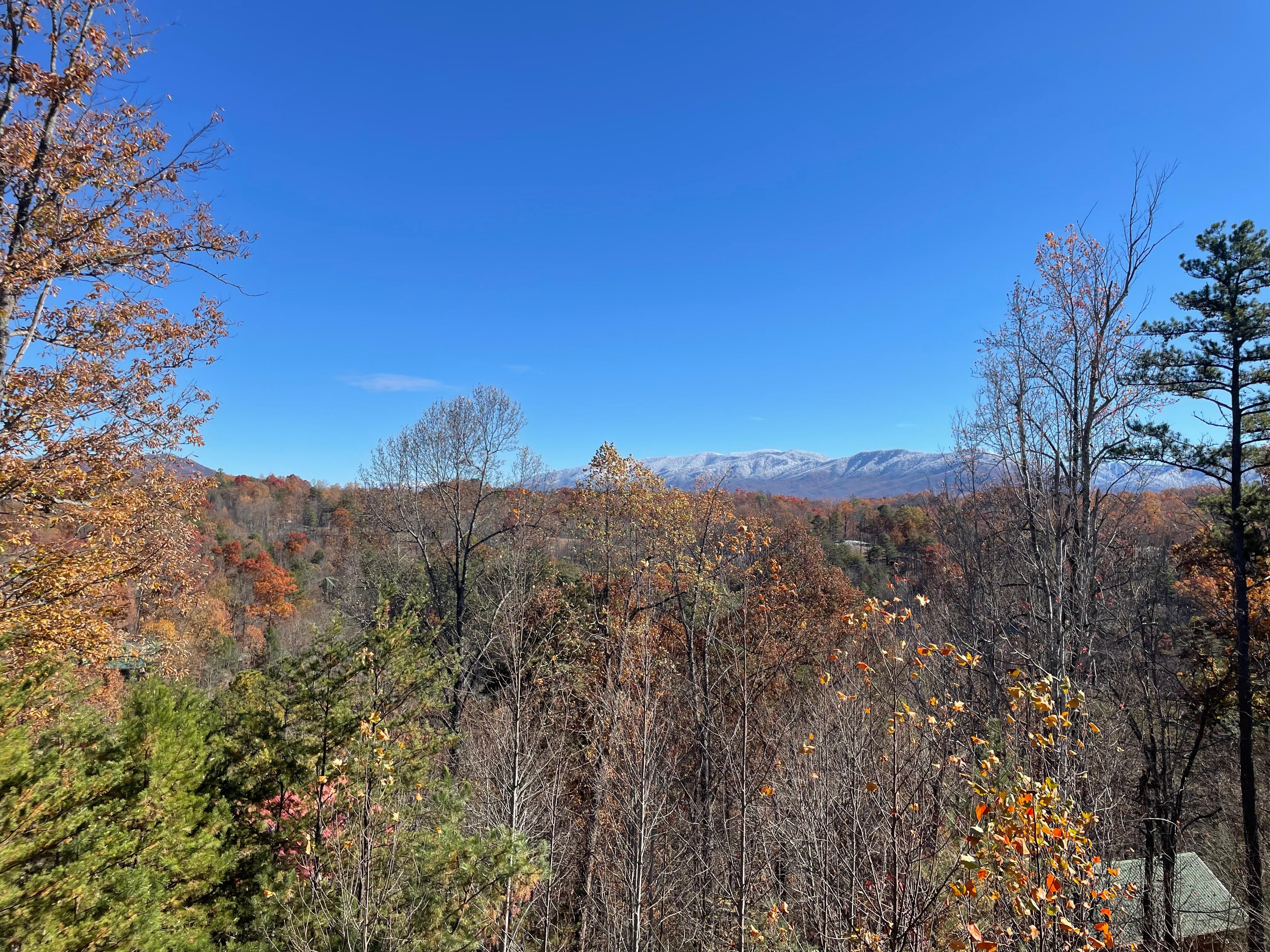 The view from terrace