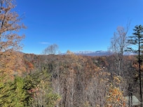 The view from terrace