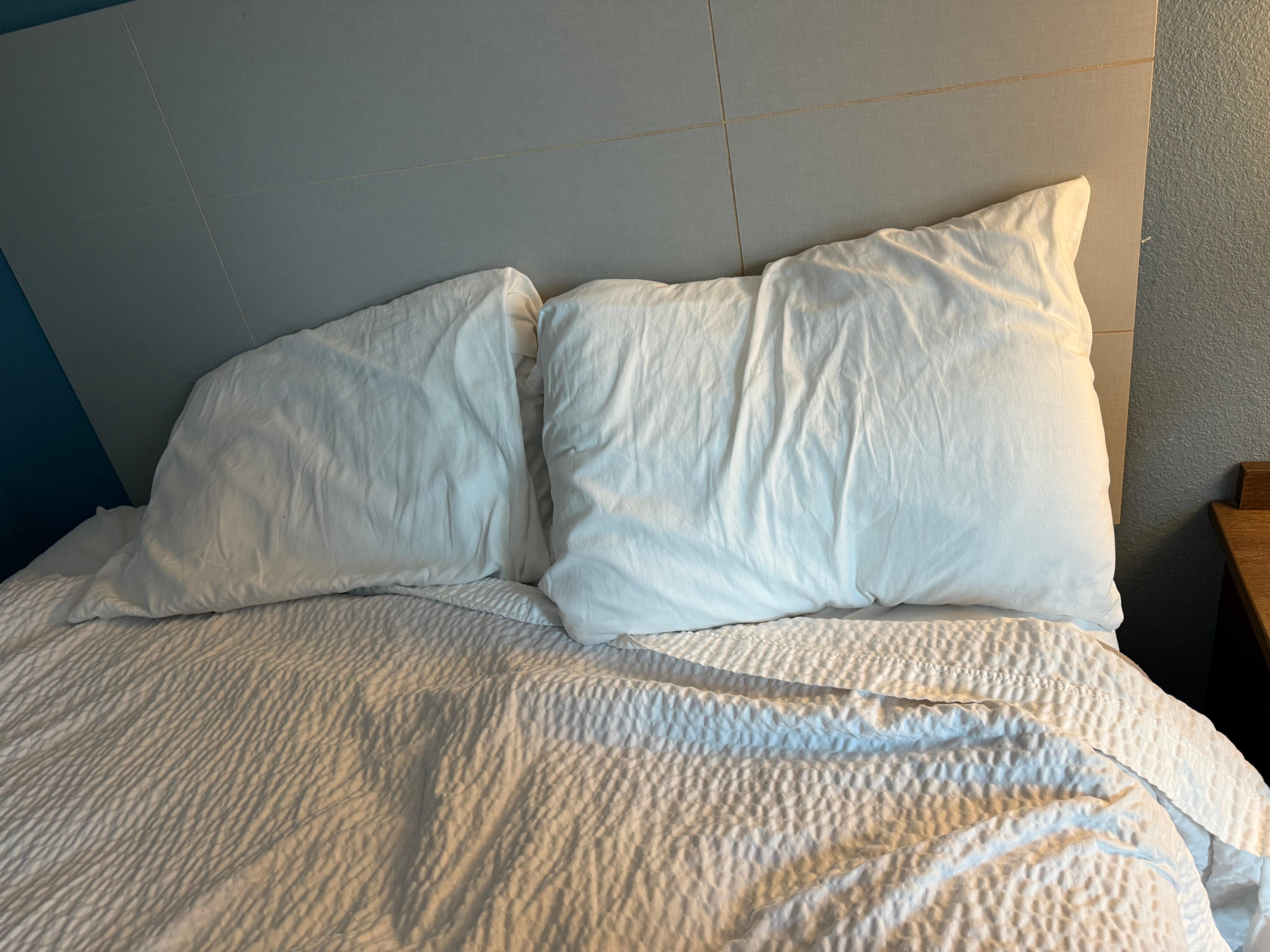 These were the flimsy pillows