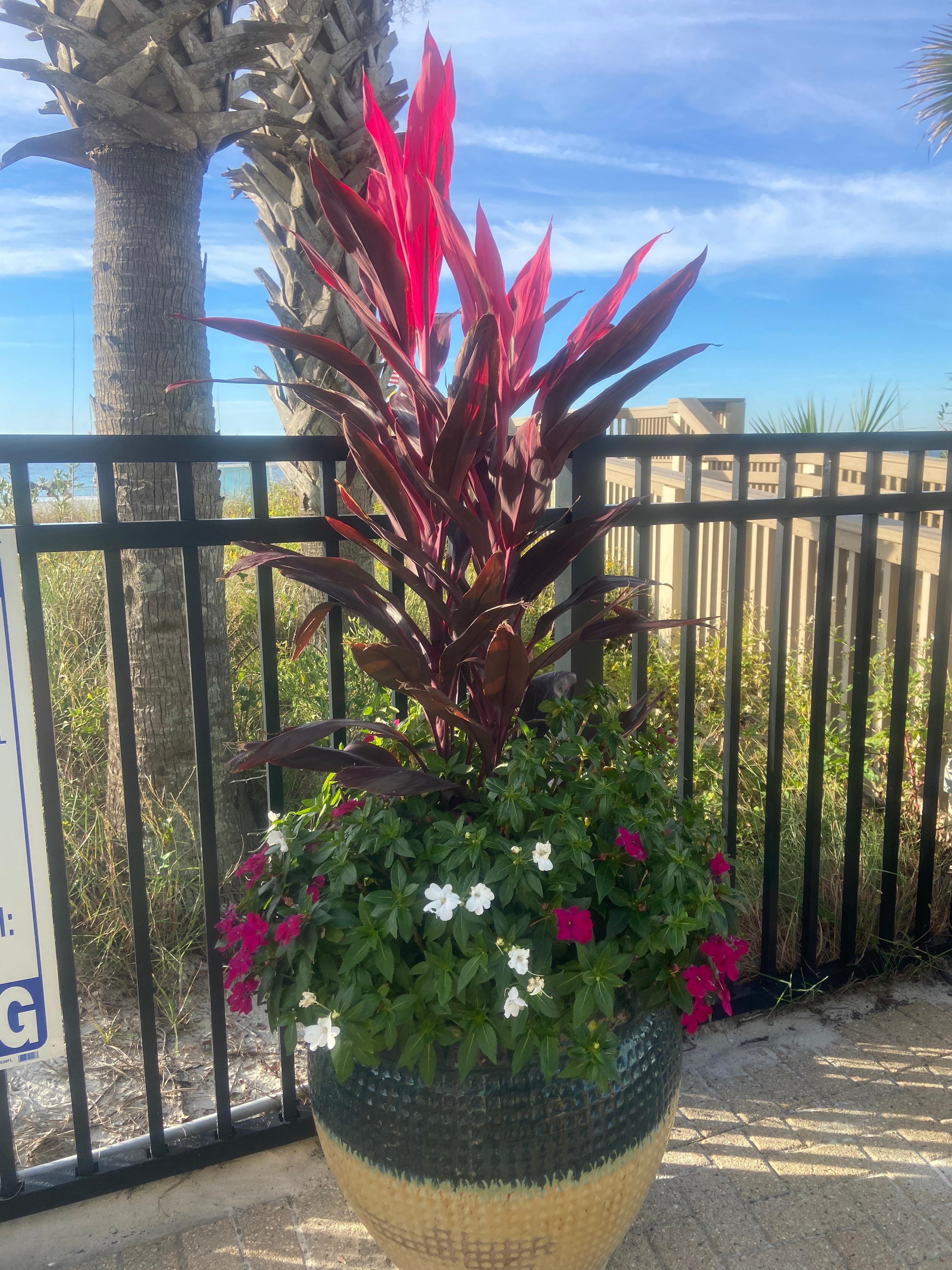 Complex is well maintained very clean. 