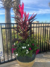 Complex is well maintained very clean.