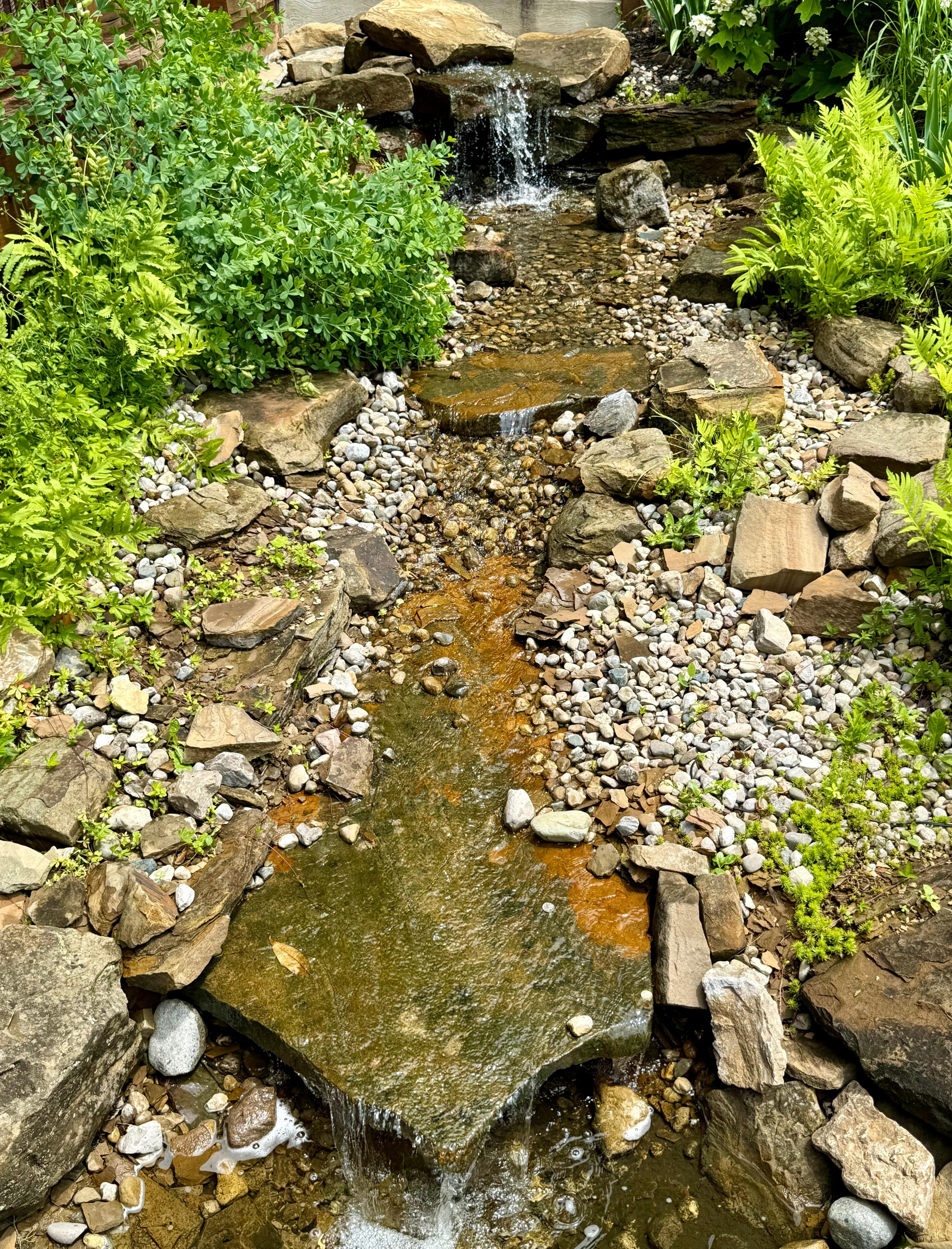 Such beauty all around.